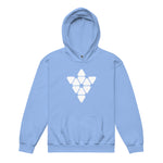 Freedom Studio Youth Hoodie - official uniform - Black or light Blue